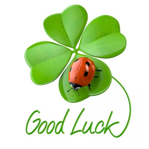 good-luck-information-from-bird-s-eye-birdsviewinfo